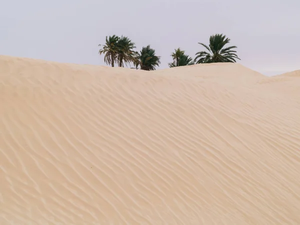 Sahra Çölü, mavi gökyüzü, Douz Tunus Afrika yakınındaki kumulları