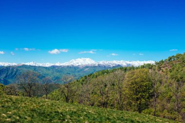 Baharda çayırlar ve tepeler, arka planda Alp zinciri, Piedmont İtalya