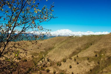 Baharda çayırlar ve tepeler, arka planda Alp zinciri, Piedmont İtalya