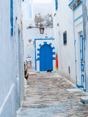 Hammamet-Tunus-sokakları eski şehir sokakları beyaz duvarlar Arap