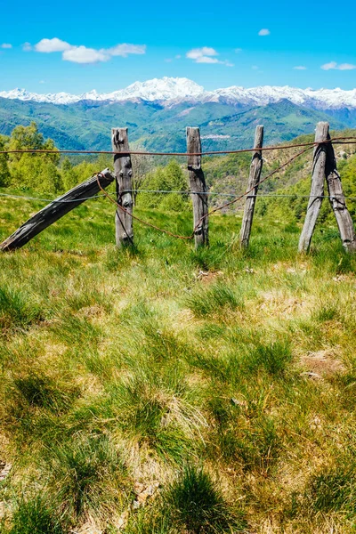 Dağlardaki kırsal çitler Alpler, Mottarone, Stresa, İtalya