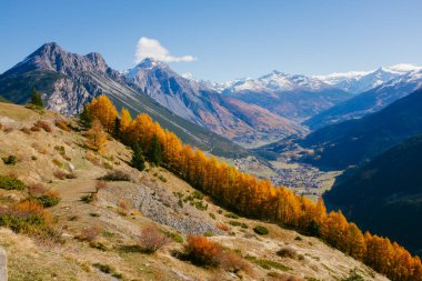 Dağlarda sonbahar renkleriyle renklendirilmiş güzel bir tarla kuşu, güneşle aydınlatılmış, yüksek Valtellina, Lombardiya, İtalya
