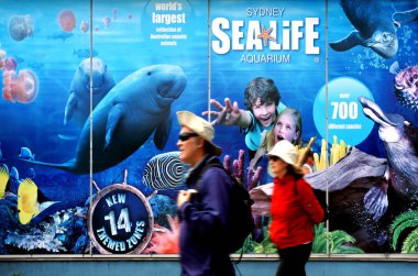 Deniz hayat Sydney Aquarium Sydney yeni Güney Wales Avustralya 