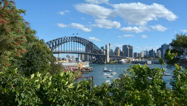 Panoramiczny widok na panoramę Sydney — Zdjęcie stockowe
