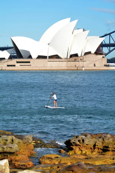 Pokładzie wiosła człowiek australijskiego w Sydney Harbour Sydney New South — Zdjęcie stockowe