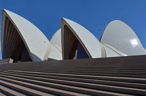 Sydney Opera House yeni Güney Galler, Avustralya. — Stok fotoğraf