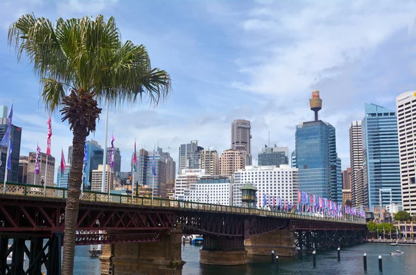 Γέφυρα Pyrmont Ντάρλινγκ Χάρμπορ Σίδνεϊ Νέα Νότια Ουαλία της Αυστραλίας — Φωτογραφία Αρχείου