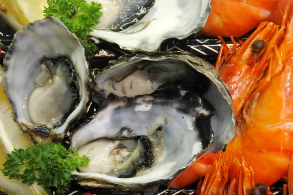 Mixed seafood background — Stock Photo, Image