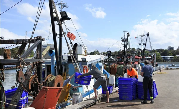 Pescadores australianos descarregando frutos do mar em Sydney Fish Market wha — Fotografia de Stock