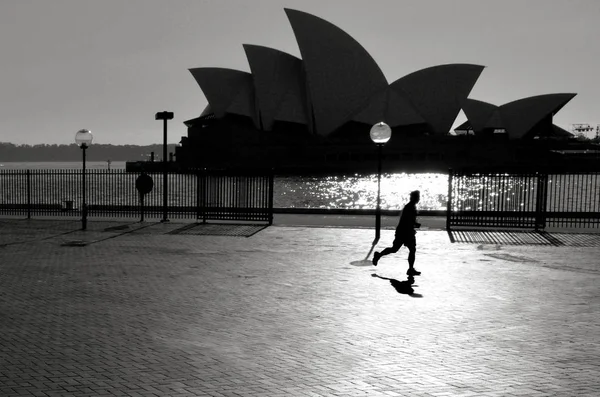 Sydney Oct 2016 Silhouette Australian Člověka Vede Poblíž Opera House — Stock fotografie