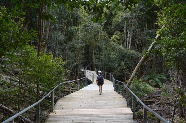 Mulher caminha em um caminho na floresta tropical de Jamison Valley Blue M — Fotografia de Stock