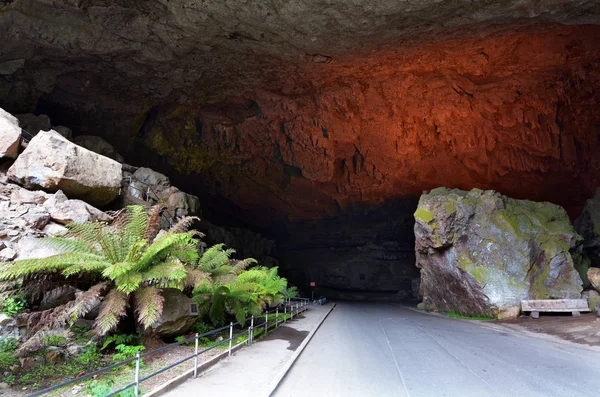 De Jenolan Caves in de Blue Mountains van New South Wales, Australi — Stockfoto
