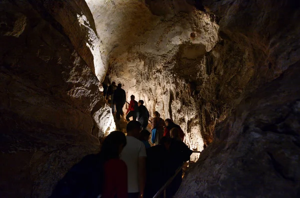 Jaskinie Jenolan niebieski góry New South Wales, Australia Australia — Zdjęcie stockowe