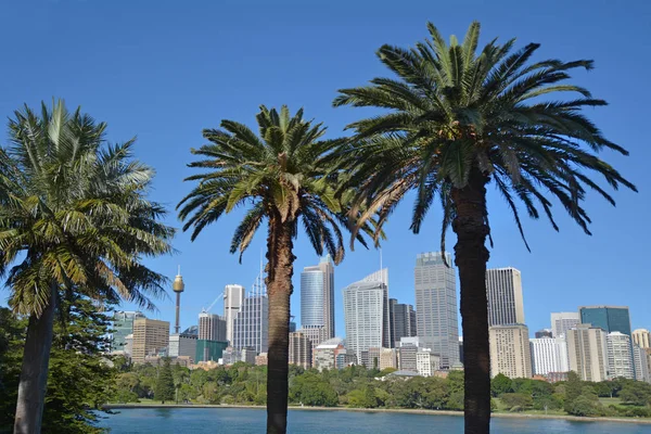 Sydney skyline as view from the Royal Botanic Gardens Sydney New — Stock Photo, Image