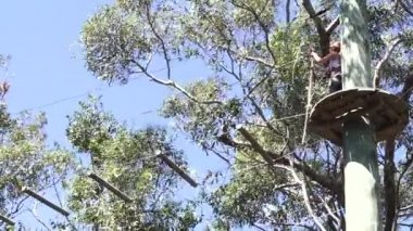 Genç kadın tırmanma treetop maceraya yürür