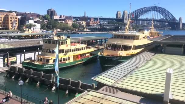 Sydney Ferries Circular Quay Ferry Muelle Sydney Ferries Red Ferry — Vídeos de Stock