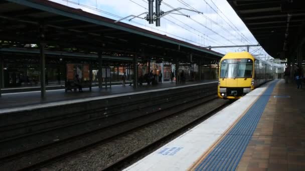 Trains Sydney Gare Centrale Sydney Sydney Trains Est Réseau Ferroviaire — Video