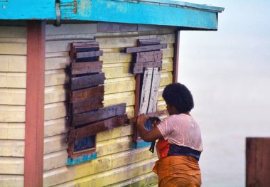 Fijian woman boarding up her house during a Tropical Cyclone clipart