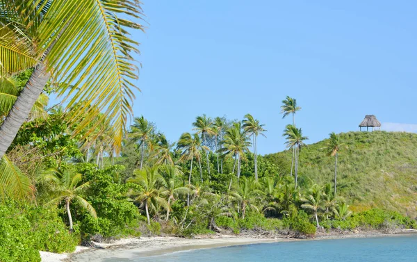 Fiji uzak bir tropikal plaj manzara — Stok fotoğraf