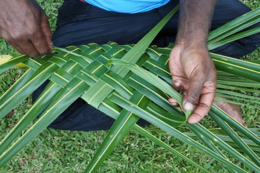 Bir Hindistan cevizi hurma yaprakları dokuma Fiji erkekler bir sepet oluşturma