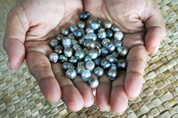 Indigenous Fijian woman holds Black lip oyster black pearls — Stock Photo, Image