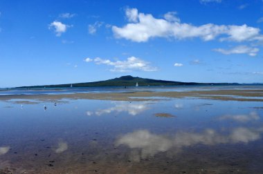 Manzaralı Rangitoto Adası Yeni Zelanda