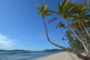 Fiji uzak bir tropikal plaj manzara