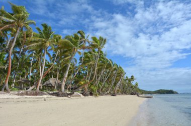 Peyzaj tropikal beach Resort Fiji