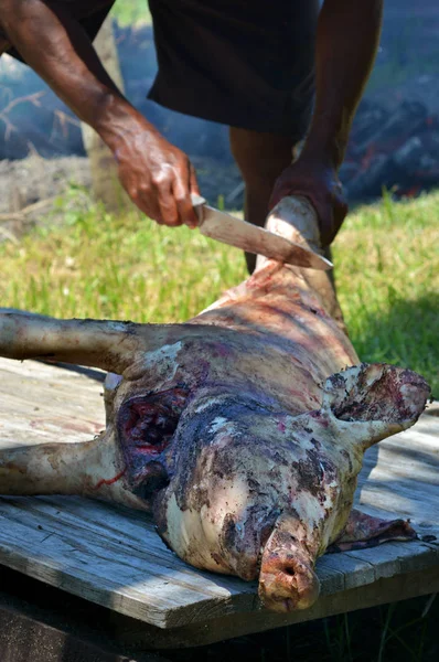 先住民族のフィジー人、豚の食肉処理 — ストック写真