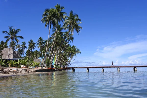 Tropical resort on Vanua Levu Island Fiji — Stock Photo, Image