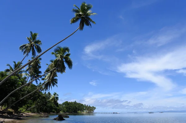 Manzara Vanua Levu Island Fiji bir tropikal plaj — Stok fotoğraf