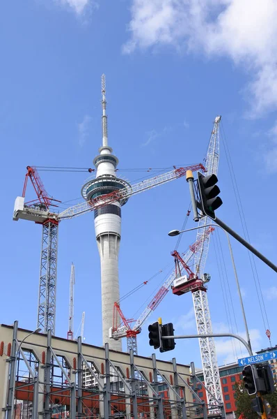 Many cranes against Auckland Sky tower — Stock Photo, Image