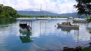 Savusavu Vanua Levu Adası Fiji'de Nakama dereye peyzaj