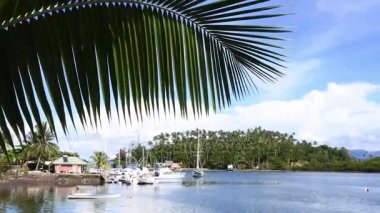 Savusavu Vanua Levu Adası Fiji'de Nakama dereye peyzaj