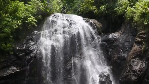 从 Vuadomo Waterfall 在瓦努阿 Levuisland 斐济土著斐济人跳 — 图库视频影像