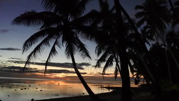 Paysage du coucher du soleil sur la côte corallienne Fidji — Video