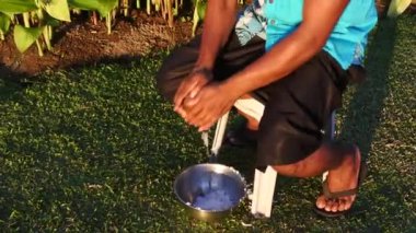 Fiji ülkesindeki bir Hindistan cevizi meyve husking yerli Fiji adam