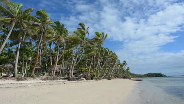 Táj, a strandon, a trópusi sziget a Fidzsi-szigeteken — Stock videók