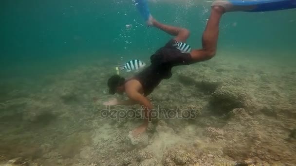 Indigener fidschianischer Mann schwimmt mit tropischen Fischen in Fidschi — Stockvideo