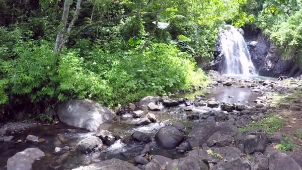 Vuadomo Cascada Fiji — Vídeo de stock