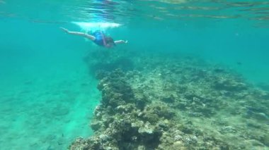 Fiji ülkesindeki bir mercan kayalığı üzerine sualtı dalış kadın