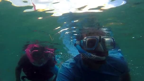 Padre e hijo haciendo snorkel sobre un arrecife de coral en Fiji — Vídeo de stock