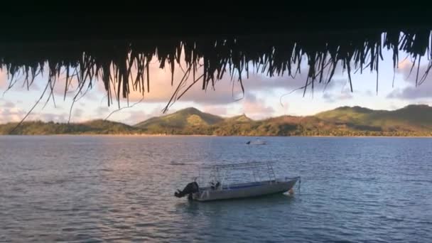 Zonsopgang boven eiland landschap-achtergrond — Stockvideo