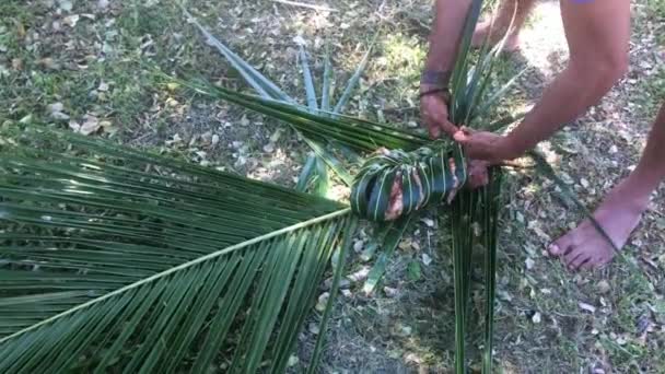 Indígena fijiano mãos homem preparar fijiano comida lovo — Vídeo de Stock