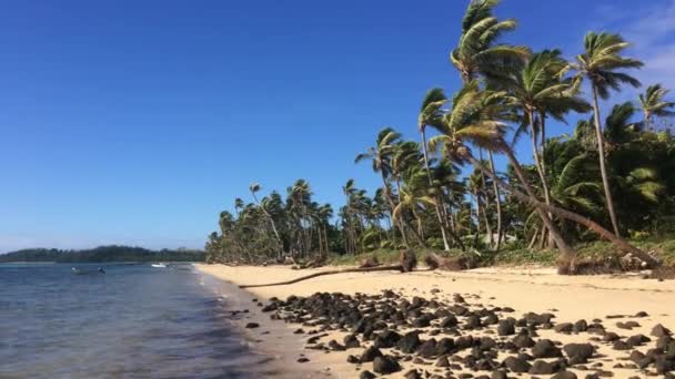 Krajobraz z dzikiej plaży na odległą, tropikalną wyspę w Fidżi — Wideo stockowe