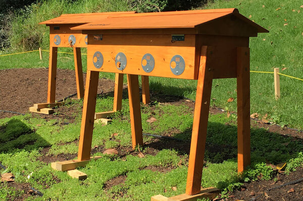 Два улья в замкнутой структуре
 