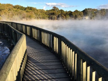 Rotorua Yeni Zelanda Kuirau Park'ta sıcak havuzları