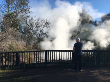Rotorua Yeni Zelanda Kuirau Park'ta sıcak havuzları