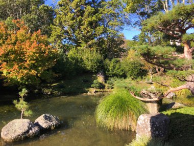 Hint Char Bagh Bahçe Hamilton bahçeleri Yeni Zelanda'da 