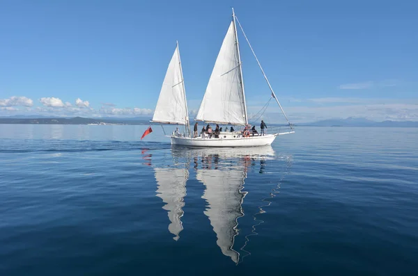 Yacht Vela Barca Vela Sul Lago Taupo Isola Del Nord — Foto Stock
